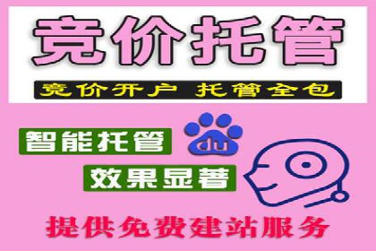 某企业竞价托管SEM的优化与成果展示